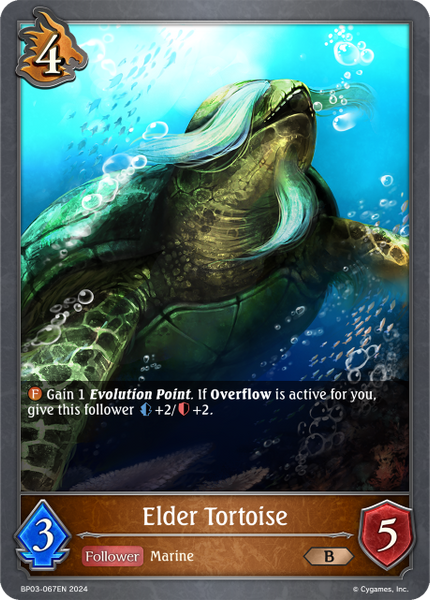 Elder Tortoise - BP03-067EN