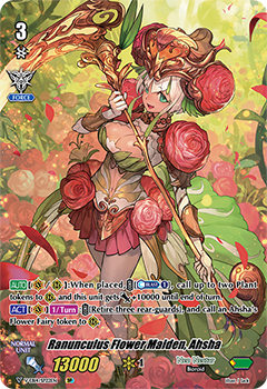 Ranunculus Flower Maiden, Ahsha (SP)