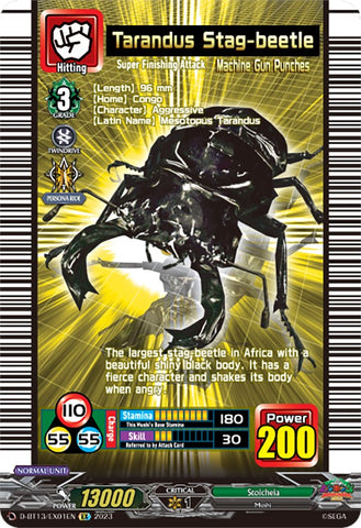 Tarandus Stag-beetle