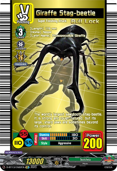 Giraffe Stag-beetle
