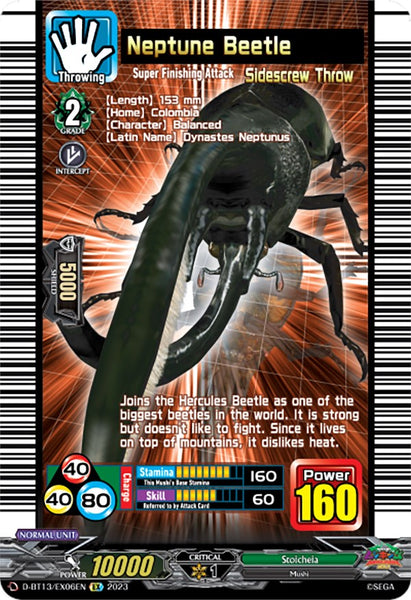 Neptune Beetle