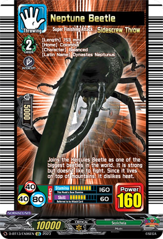 Neptune Beetle