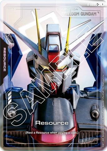 Resource (R-008) (C+)