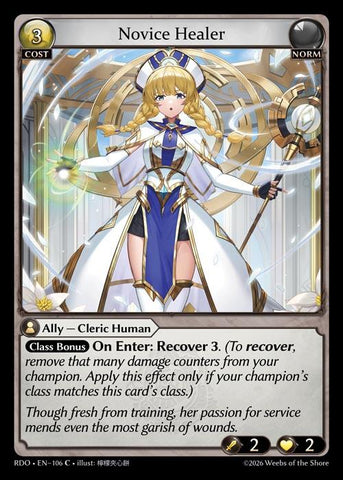 Novice Healer