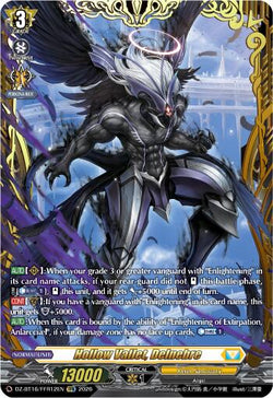 Hollow Vallet, Delnebre (FFR)