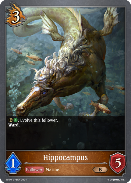 Hippocampus - BP04-075EN