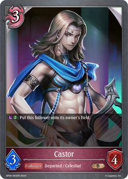 Castor - BP04-093EN