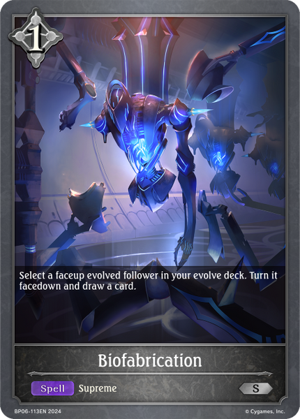 Biofabrication - BP06-113EN