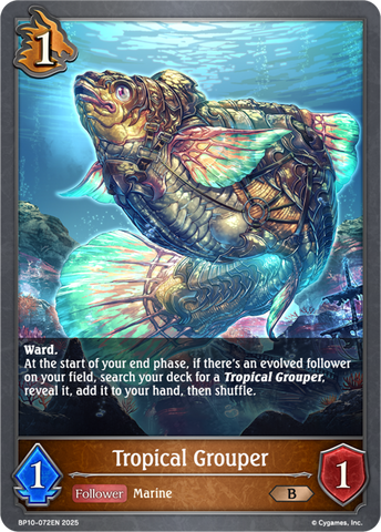 Tropical Grouper - BP10-072EN