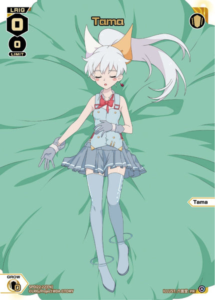 Tama - SPDi22-22[EN]