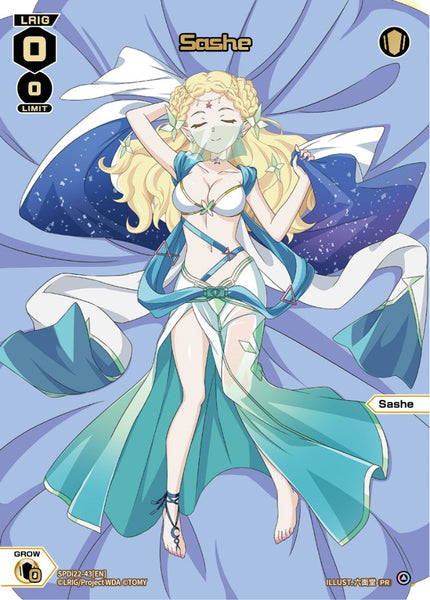 Sashe - SPDi22-43[EN]