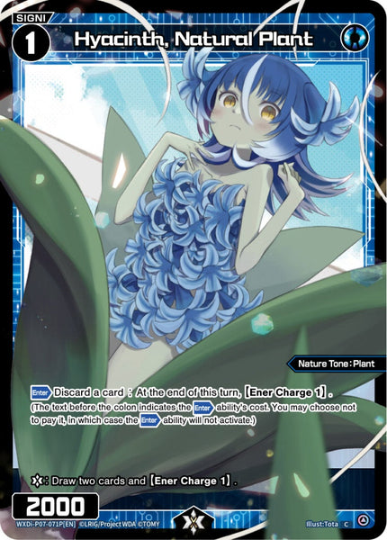 Hyacinth, Natural Plant (Foil) - WXDi-P07-071P[EN]