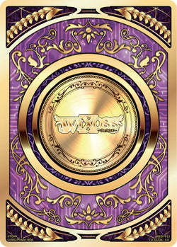COIN - WXDi-P13-CO-01[EN]