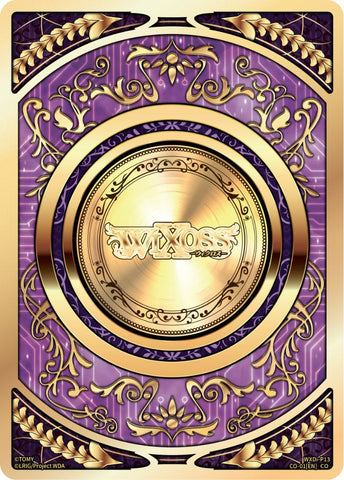 COIN - WXDi-P13-CO-01[EN]