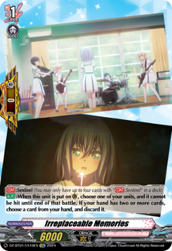 Irreplaceable Memories - DZ-BT01/EX10EN