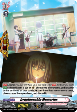 Irreplaceable Memories - DZ-BT08/EX16EN