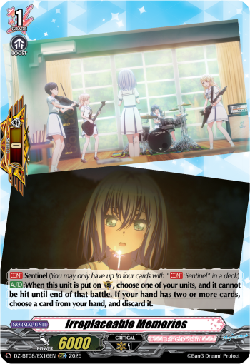 Irreplaceable Memories - DZ-BT08/EX16EN