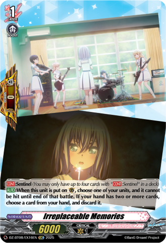 Irreplaceable Memories - DZ-BT08/EX16EN