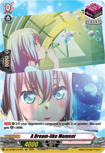 A Dream-like Moment - DZ-BT08/EX19EN