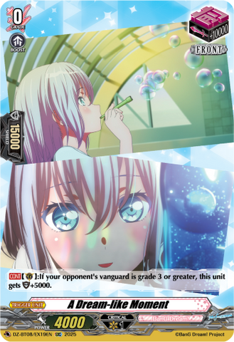 A Dream-like Moment - DZ-BT08/EX19EN