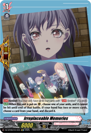 Irreplaceable Memories - DZ-BT09/EX14EN