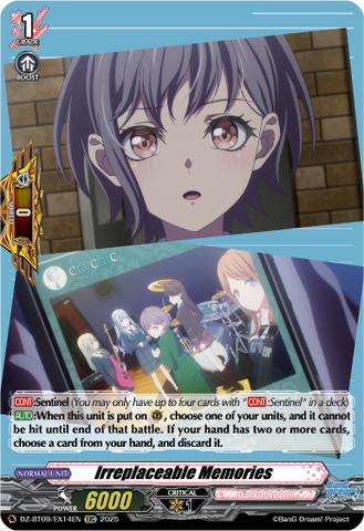 Irreplaceable Memories - DZ-BT09/EX14EN