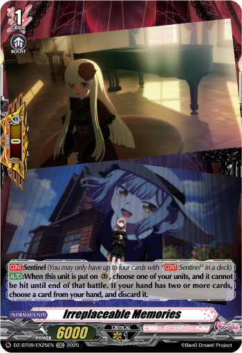 Irreplaceable Memories - DZ-BT09/EX25EN