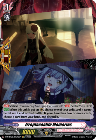 Irreplaceable Memories - DZ-BT09/EX25EN