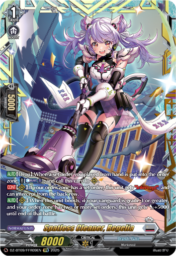 Spatless Cleaner, Regelia (FFR) - DZ-BT09/FFR09EN