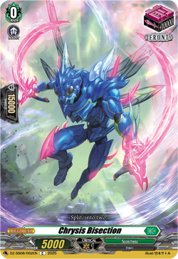 Chrysis Bisection - DZ-SS08/052EN