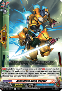 Accelerate Ninja, Hayate - DZ-TB01/064EN