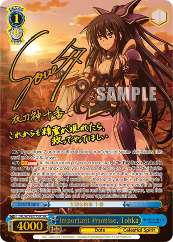 Important Promise, Tohka (SEC)