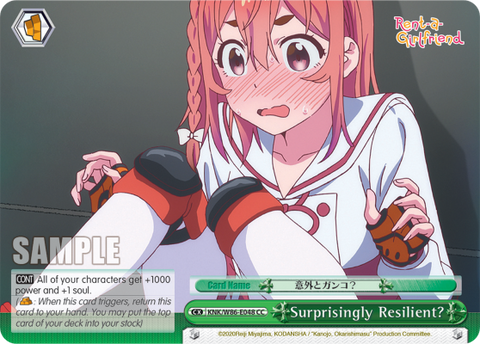 Surprisingly Resilient? - KNK/W86-E048