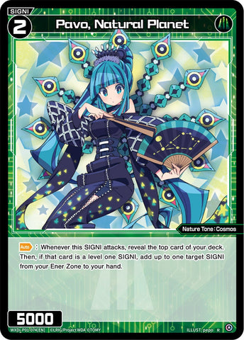 Pavo, Natural Planet - WXDI-P01-074[EN]