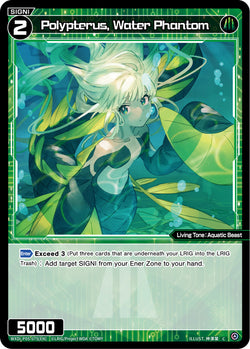 Polypterus, Water Phantom - WXDi-P05-075[EN]
