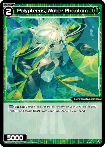 Polypterus, Water Phantom - WXDi-P05-075[EN]