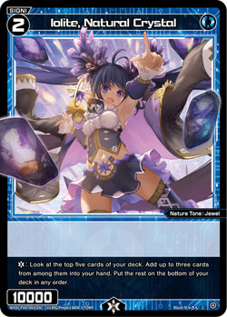 Iolite, Natural Crystal - WXDi-P06-065[EN]