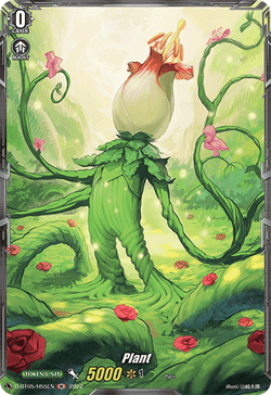 Plant (Holo) - D-BT05/H55EN