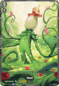 Plant - D-BT05/T02EN