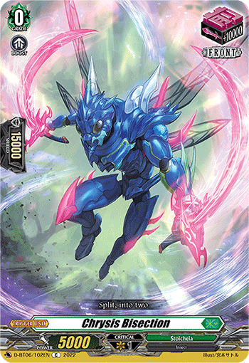 Chrysis Bisection - D-BT06/102EN