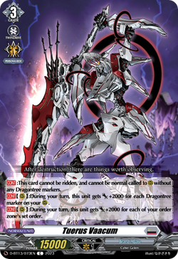 Tuerus Vaacum - D-BT13/073EN