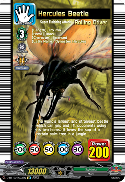 Hercules Beetle - D-BT13/EX03EN