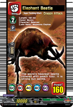 Elephant Beetle - D-BT13/EX04EN
