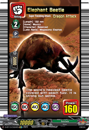 Elephant Beetle - D-BT13/EX04EN