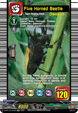Five Horned Beetle - D-BT13/EX07EN