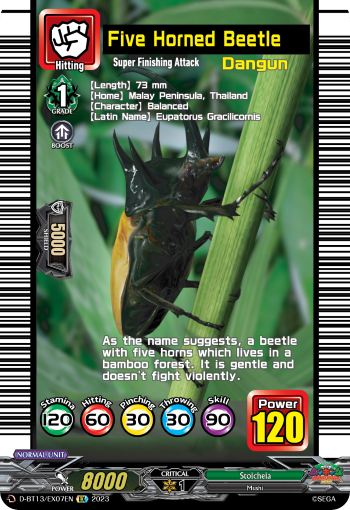Five Horned Beetle - D-BT13/EX07EN