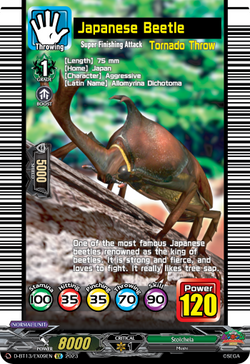 Japanese Beetle - D-BT13/EX09EN