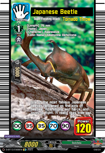 Japanese Beetle - D-BT13/EX09EN
