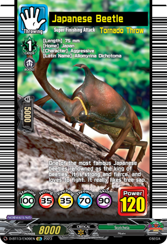 Japanese Beetle - D-BT13/EX09EN