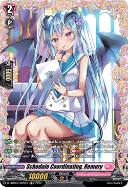 Schedule Coordinating, Remory (FR) - D-LBT03/FR05EN
